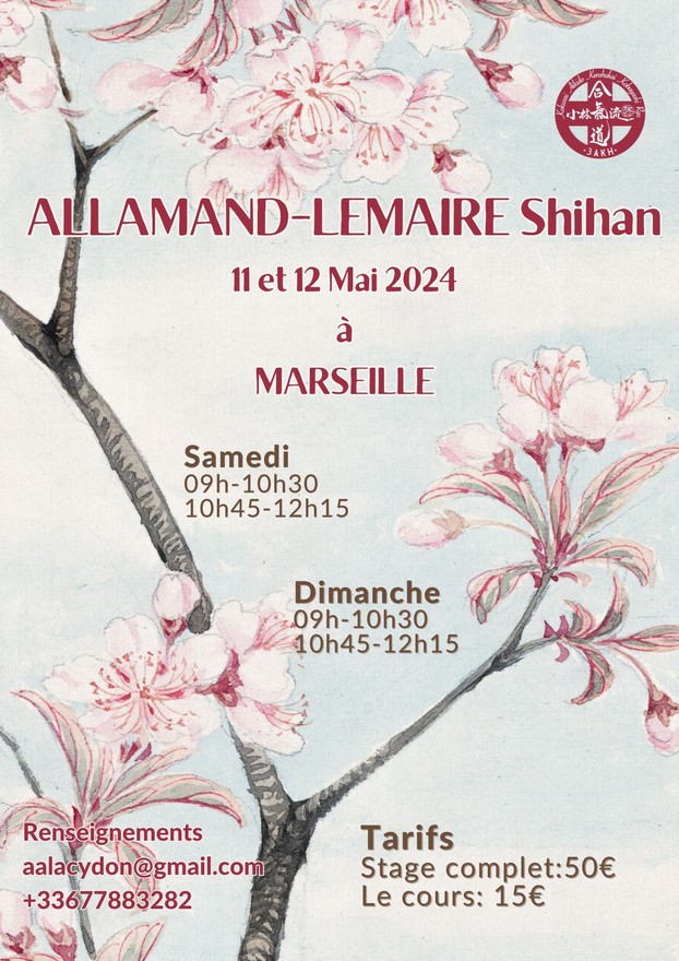 Stage_Allamand-Lemaire